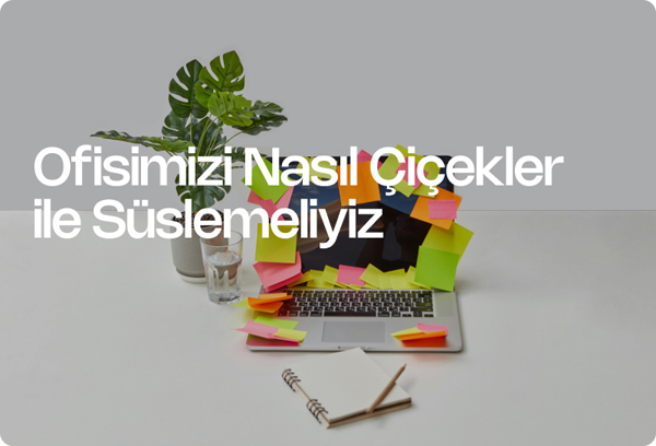 Ofisimizi Nasıl Çiçekler ile Süslemeliyiz