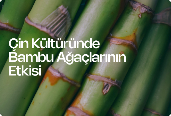 Çin Kültüründe Bambu Ağaçlarının Etkisi