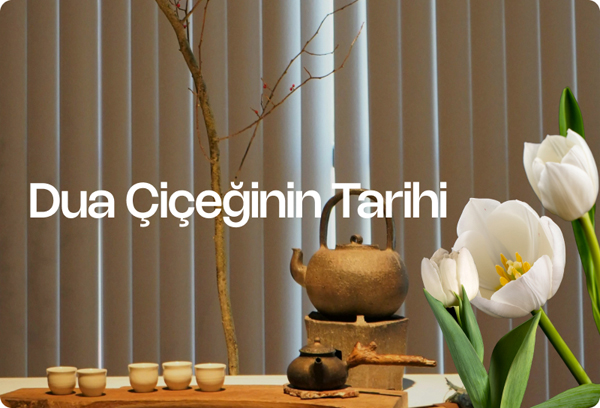 Dua Çiçeğinin Tarihi