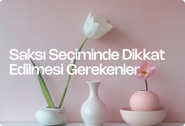 Saksı Seçiminde Dikkat Edilmesi Gerekenler