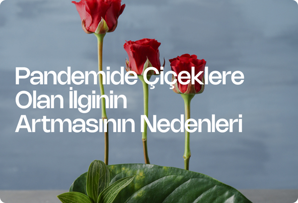 Pandemide Çiçeklere Olan İlginin Artmasının Nedenleri