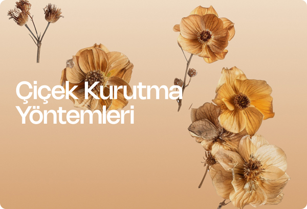 Çiçek Kurutma Yöntemleri