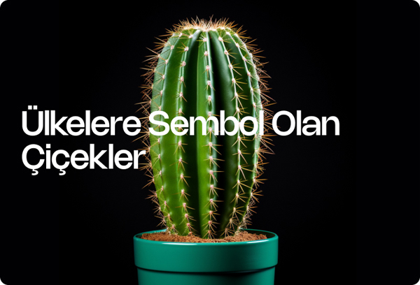 Ülkelere Sembol Olan Çiçekler