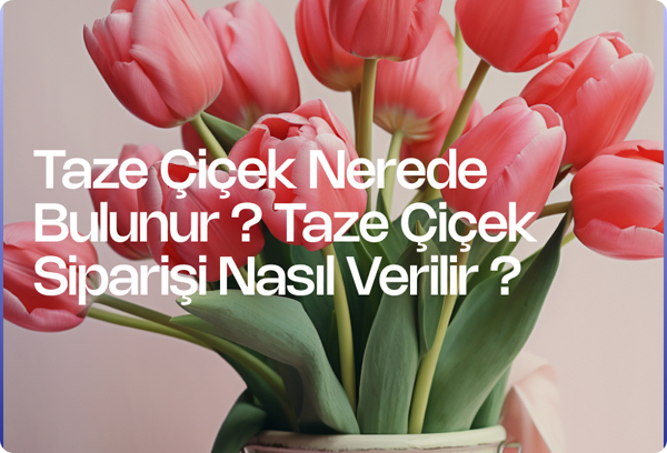 Taze Çiçek Nerede Bulunur ? Taze Çiçek Siparişi Nasıl Verilir ?
