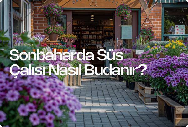 Sonbaharda Süs Çalısı Nasıl Budanır?