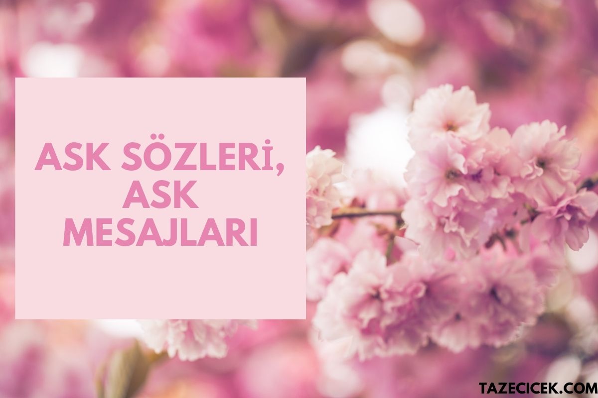 Aşk Sözleri, Aşk Mesajları