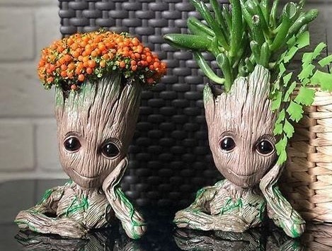 Büyüleyici Baby Groot Bitkiler