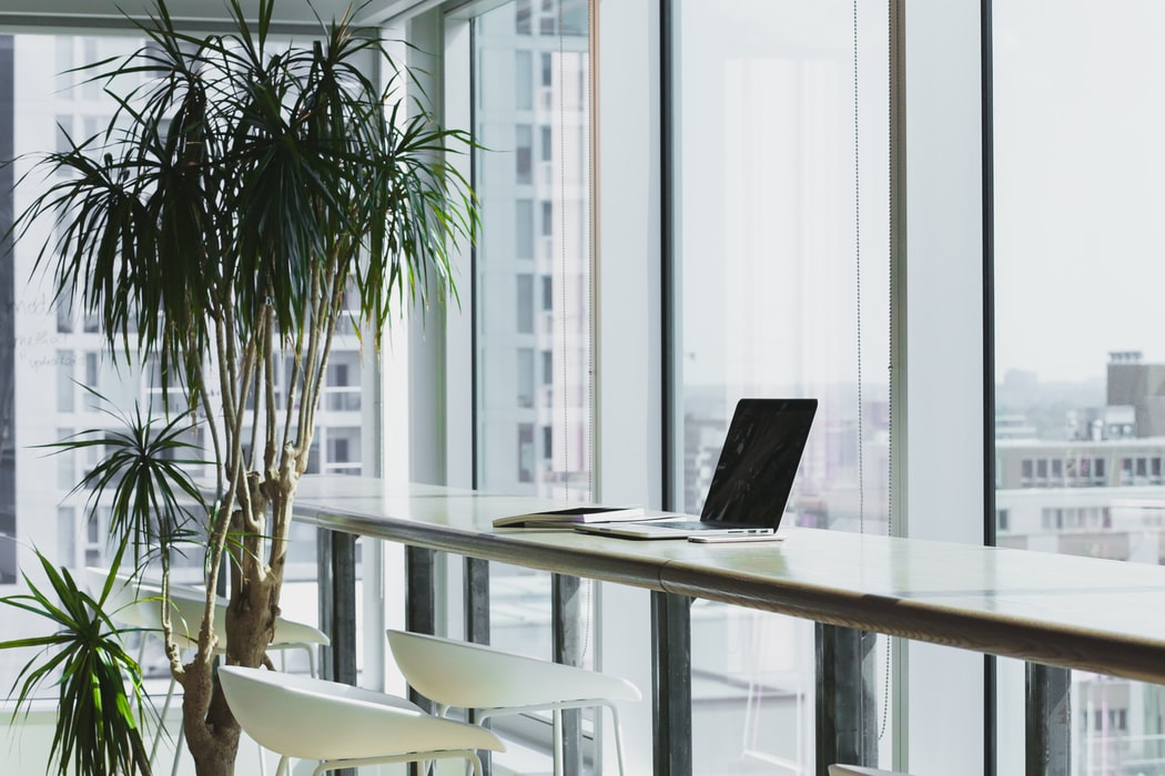 Ofis İçin Alınabilecek Çiçekler