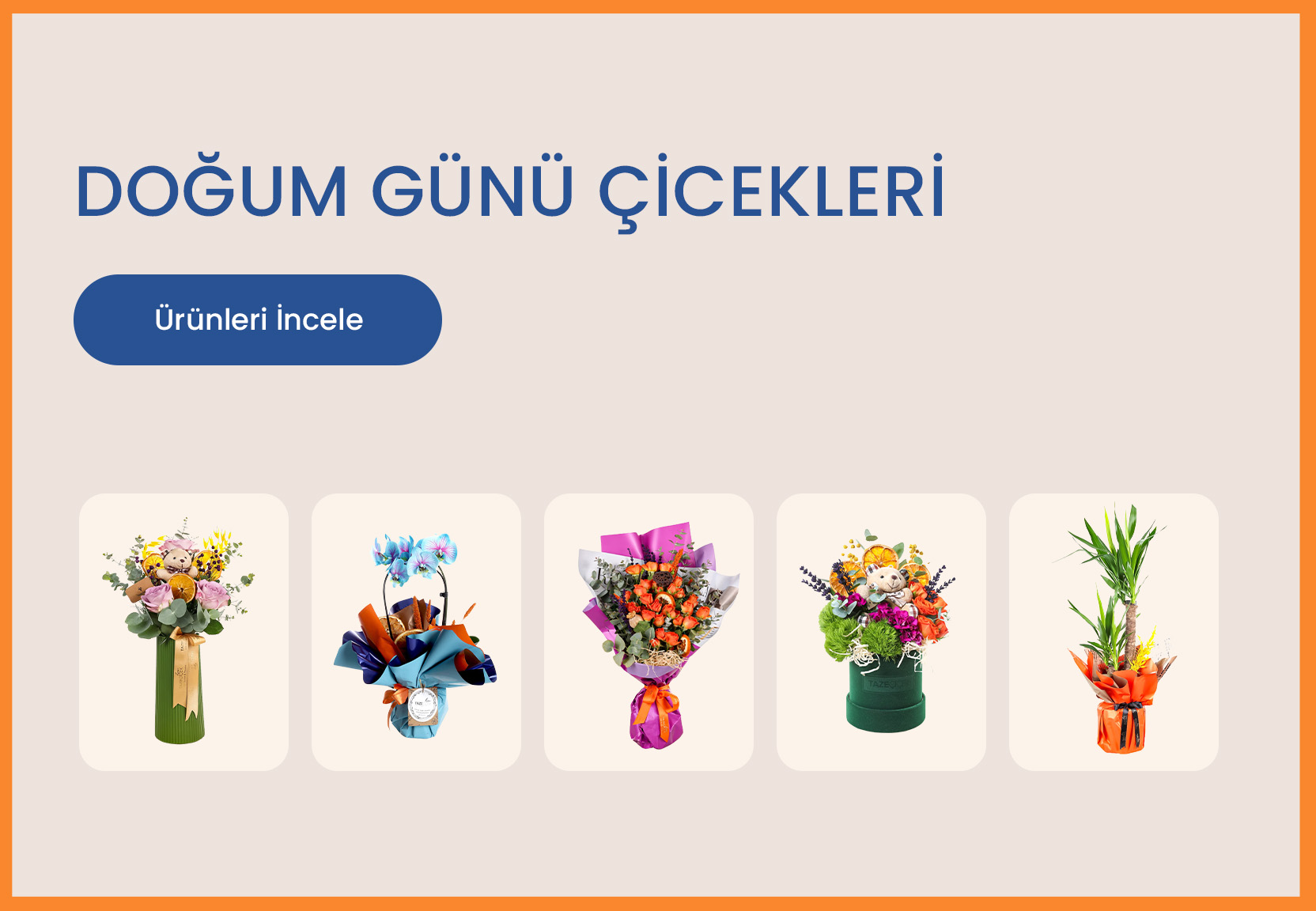 Vitrin Resmi