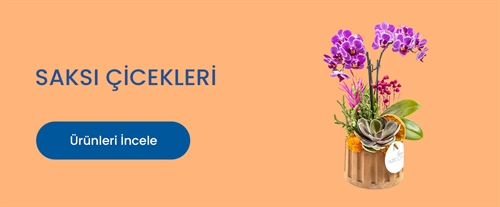 Vitrin Resmi