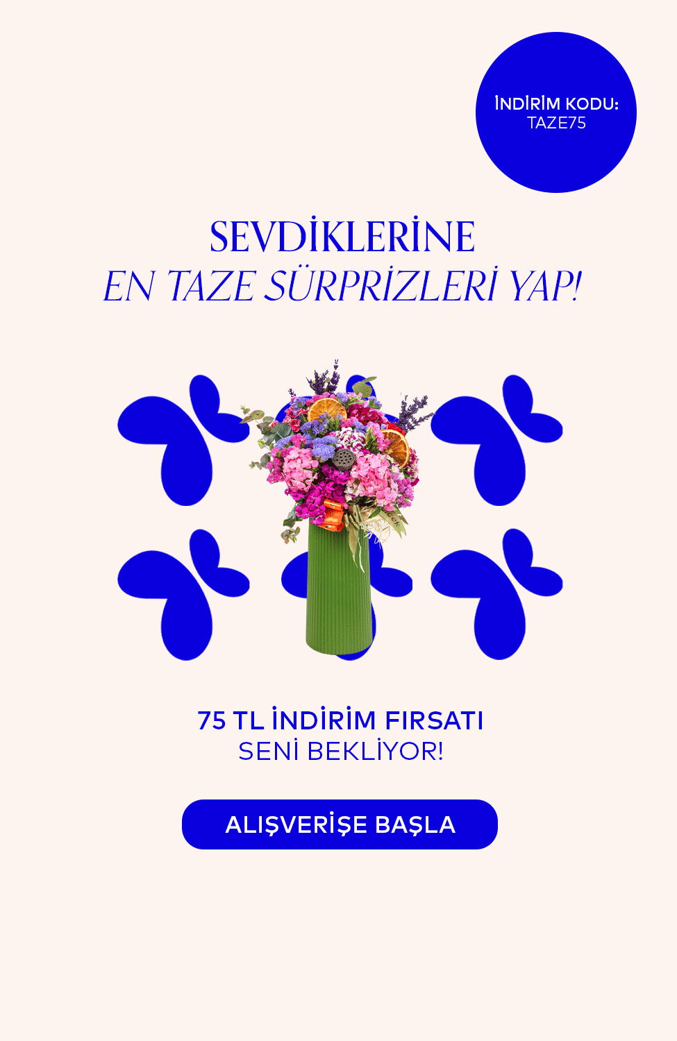 Vitrin Resmi