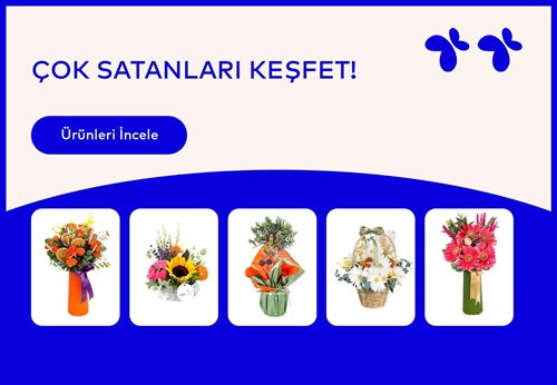 Vitrin Resmi