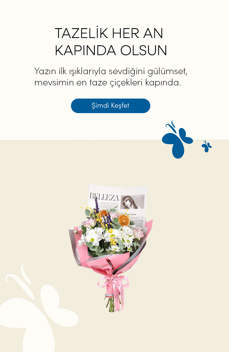 Vitrin Resmi
