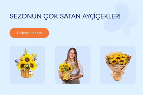 Vitrin Resmi