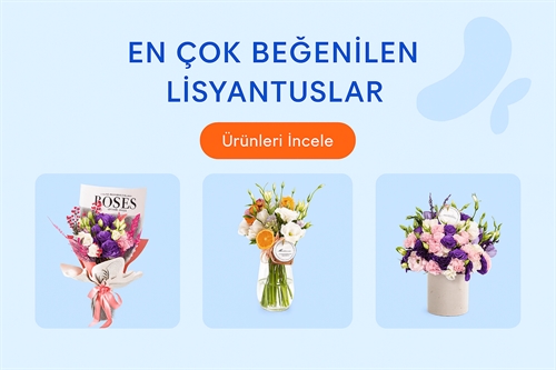 Vitrin Resmi