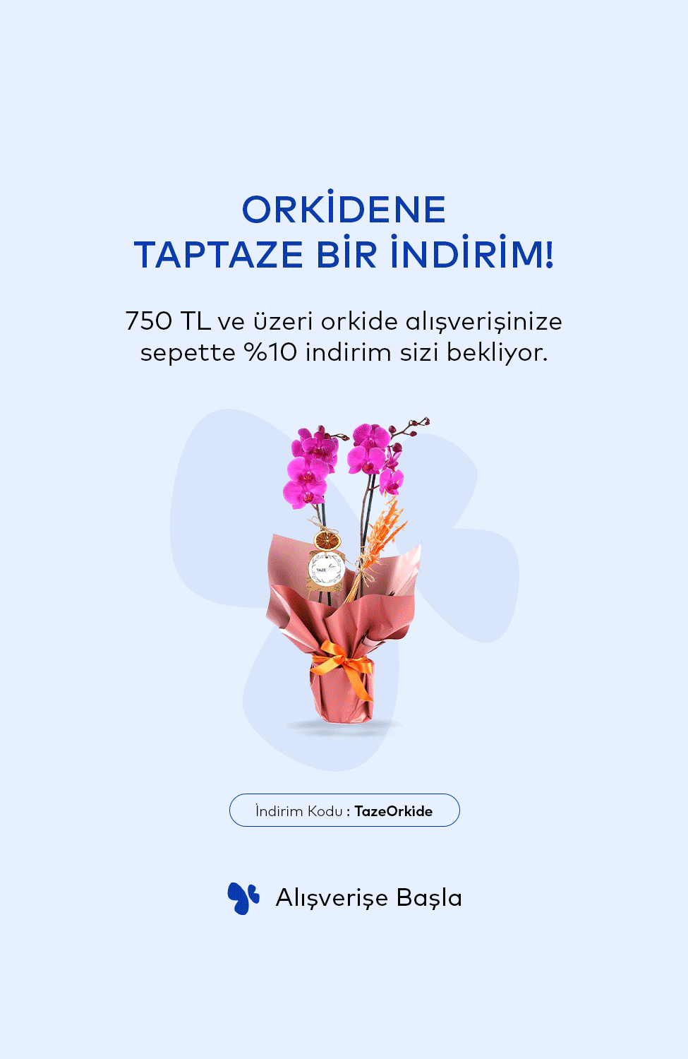 Vitrin Resmi