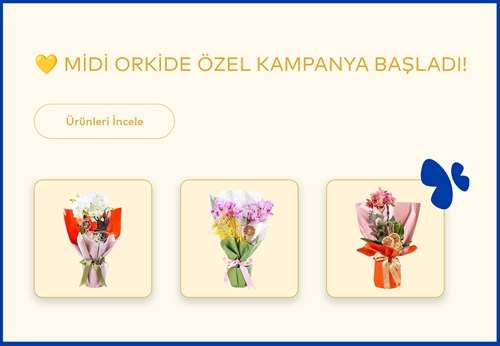 Vitrin Resmi