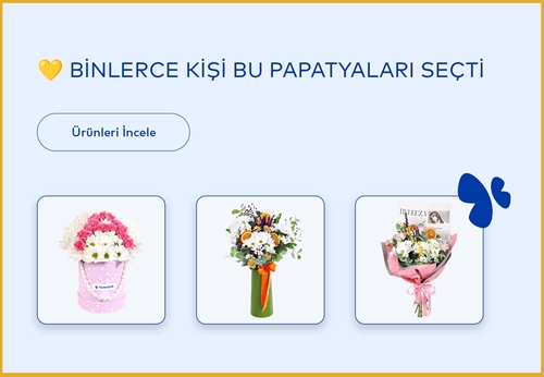 Vitrin Resmi